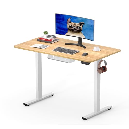 SANODESK Q1 Escritorio Elevable Eléctrico 100 x 60 cm, con Tablero Entero, Altura Ajustable, con 4 Memorias de Altura, Panel Inteligente y Ganchos, Ideal Oficina en casa (Arce)