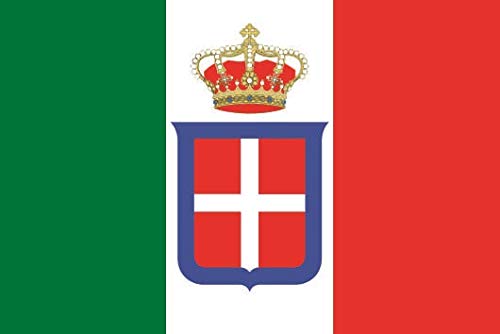 2 Autocollants Logo Ford Performance Vinyle – 20 Cm, Choix De Couleur, Pour Voiture