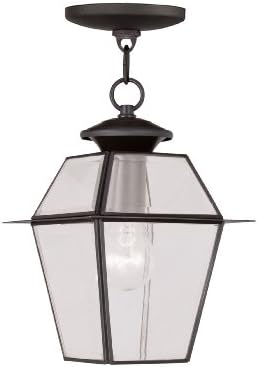 Livex Lighting 2183-07 Westover 1-Light Outdoor Hanging Lantern, Bronze image 4