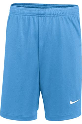 Nike Youth DRI-FIT Classic II Shorts (Small, Sky Blue)