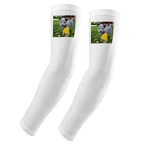 Housse de protection UV pour animal domestique et bâche solaire chien chat