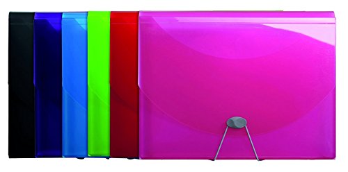 Exacompta 58770E Premium Kunststoff-Fächermappe Iderama mit Gummizugverschluss DIN A4 13 transparente Fächer, 1 Stück Zufallsfarbe