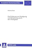 Die Erklärung von Kündigung und Abmahnung durch den Arbeitgeber: Dissertationsschrift (Europäische Hochschulschriften Recht / Reihe 2: Rechtswissenschaft / Series 2: Law / Série 2: Droit, Band 2065)