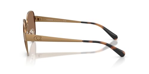 Image of Coach womens Hc7186 Aviator Sunglasses