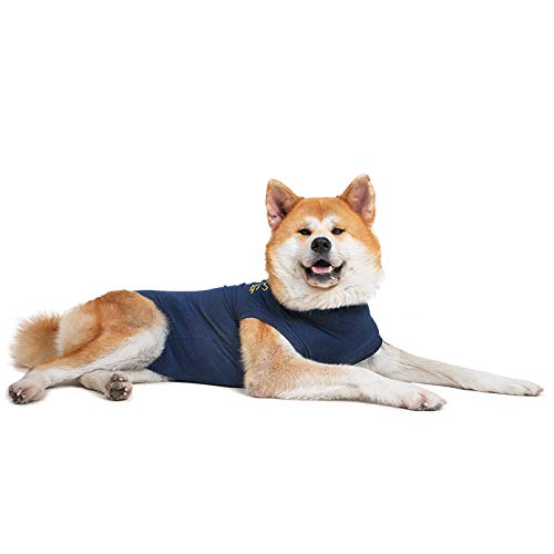 Medical Pet Shirt, Hund, Blau, für extra große Hunde