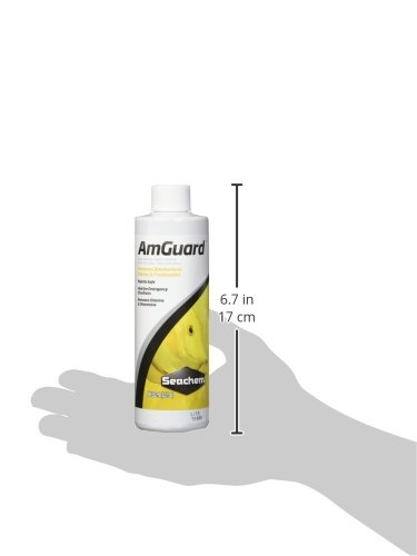 Seachem AmGuard - age de forma segura na remoção de amônia, cloro e cloramina - 250ml