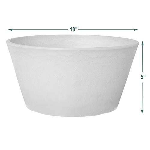 Arcadia Garden Products Psw Pot Collection Shallow Bulb Pan Planter For Succulents, Bonsai, Fairy Gardens, Herbs, 10-Inch, Taupe #TOP2
