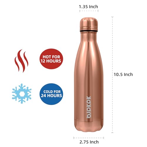 Image of BJPKPK 17 oz Insulated Water Bottle, Stainless Steel Flask, Leak Proof