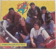 I Was Made for You [Audio CD] Guys Next Door