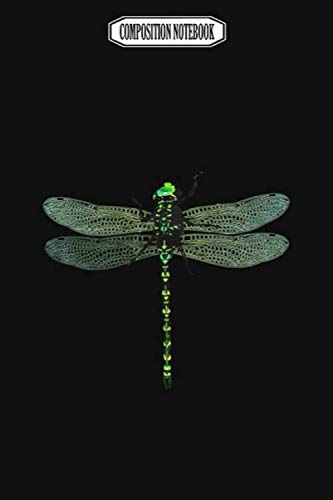 Composition Notebook: Dragon Fly Audioquest Blue Corkcicle Dragonflies Barrette Dragonfly Notebook Journal Notebook Blank Lined Ruled 6x9 100 Pages