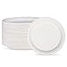 HAAGO 100 Platos Desechables de Papel de Caña de Azúcar, 26cm - Biodegradable y Ecológico, Impermeable y Apto para Microondas