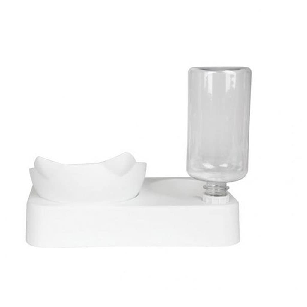 Pet Bowl Automatic Feeder Dog Food Bowl with Water Dispenser Double Dog Drinking Bowl Dish Bowls for Pet