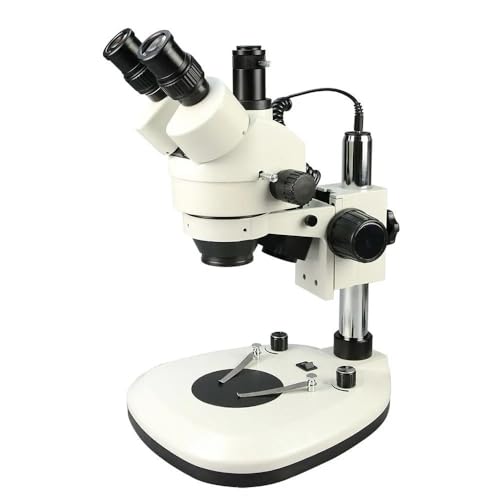 Microscope 7X~45x Zoom Microscope Top Bottom LED Light Illumination Trinocular Stereo Microscope WF10X Eyepiece Soldering Tool