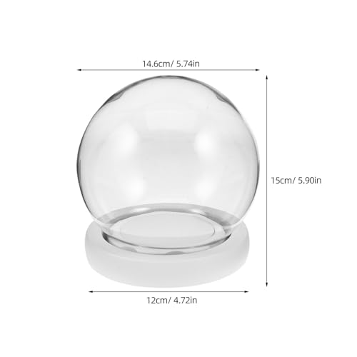 Cúpula de cristal transparente 15 cm campana protectora redonda 3