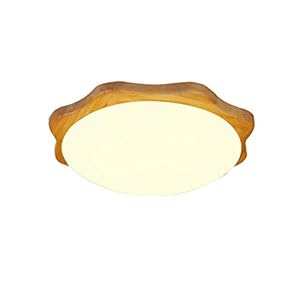 XYZMDJ Plafonnier – LED encastré au Plafond d’appareils d’éclairage au Plafond Dimmable Concepteurs lumière (Size : Large)