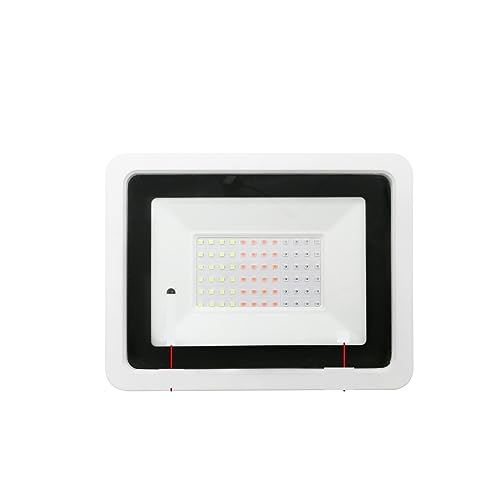 CVFRDD Reflector Led RGB 50W 100W RGB Luz De Inundación Lámpara De Pared For Exteriores Reflector IP68 Iluminación De Jardín Impermeable(No with Battery,50W)