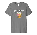 Garfield Birthday Kid Cake & Confetti Celebration Logo Premium T-Shirt
