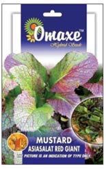 Mustard Red Asiasalat Giant Leaf Exotic Seeds - Pack of 2 Kitchen garden seeds packet-image-28