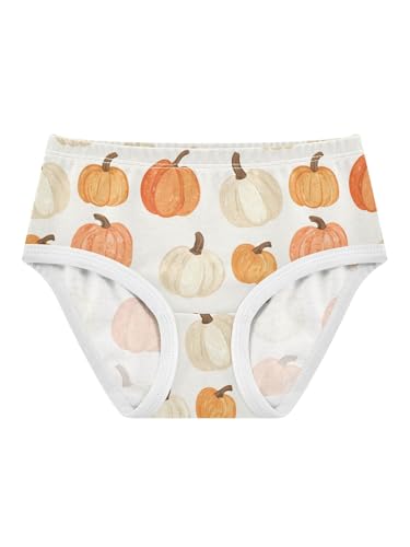 ZZKKO Watercolor Pumpkins Girls Underwear Toddler Panties for Girls Comfort Brief Size 2-8T