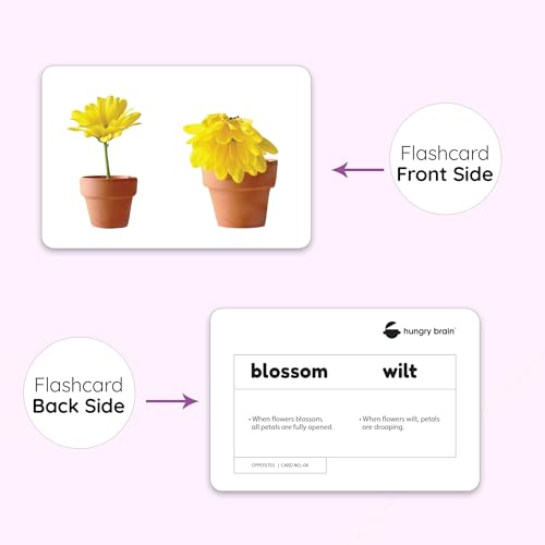 Image of My First Opposites Flash Cards for Toddlers - 24 Cards - 48 Sides, Montessori, Educational, Kindergarten, Preschool Learning Activities, Gifts for Kids, 1-4 Years Babies, Fun & Educational Flashcards