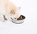 PEGGY11 Lightweight Stainless Steel Cat Bowls - 3 Cup, 2 Pack