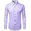 Lavender Purple Lavender Purple