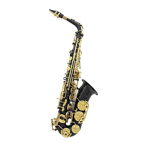 EB AgTbNX ^J Vo[bL ؊Ǌy E tbgTbNX P[Xt S҃TbNX (J[ : ubN8)