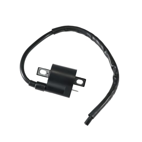 Bobine d'allumage renforcée pour DRZ400S et LTF500F