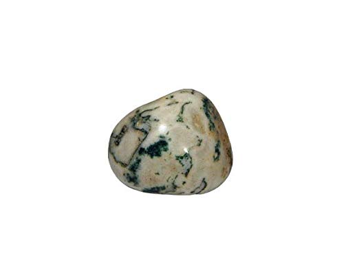 Agate d'arbre semi-précieuse 97,2 Ct pour création de cabochon et bijoux artisanaux uniques