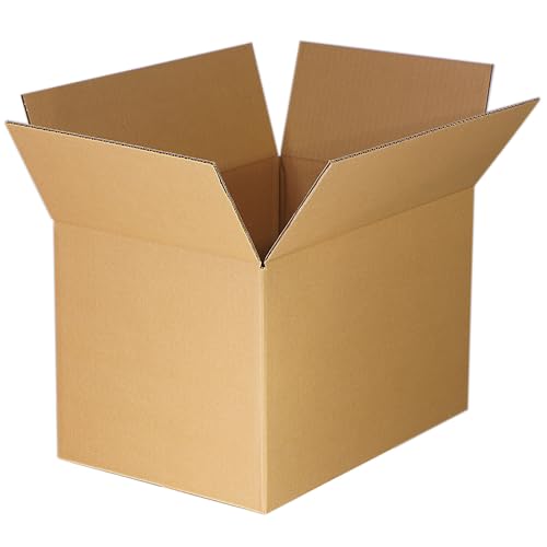 { _{[ 100TCY 10Zbg i{[ z z  100 (܂肽ݔzi)dC3-H-10