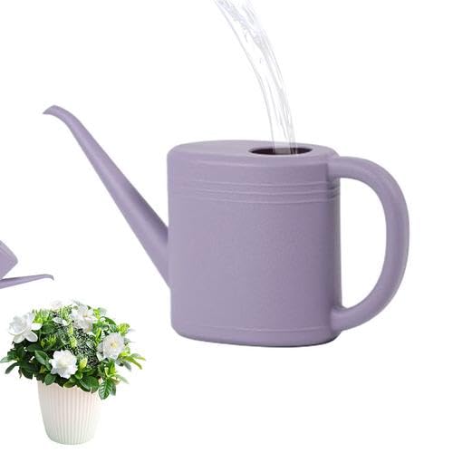 Small Watering Can For House Plants - 1 Litre Watering Can For Indoor & Outdoor Plants - Waterings Cans With Long Spout For Precise Watering For Inside Outdoor Bonsai Garden Flowers Hanging Plant