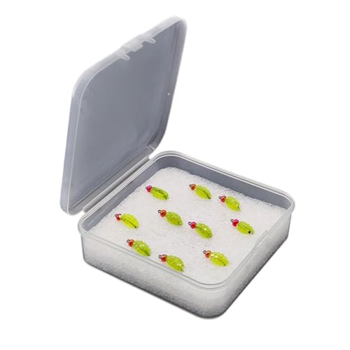 10 ނ胋A[Zbg oXXPgE_gEgpI[KiCU[{bNXt \tgPVCxCg YfX`[tbNt WClH[ O[