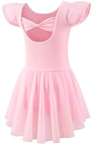 Mecceos Ballet Leotards with Skirt for Toddler Girls Dance Ruffle Ballerina Dresses Outfits (Ballet...