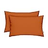   RSH-DECOR-Sunbrella-Lumbar-Throw-Pillows-Set-of-2-20-x-12-Water-and-Fade-Resistant-Performance-Fabric-Outdoor-Pillow-Covers-with-Down-Alternative-Inserts-Canvas-Tuscan