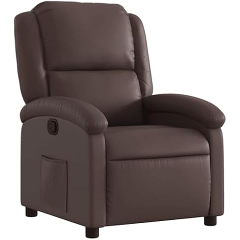Fauteuil Inclinable vidaXL Cover