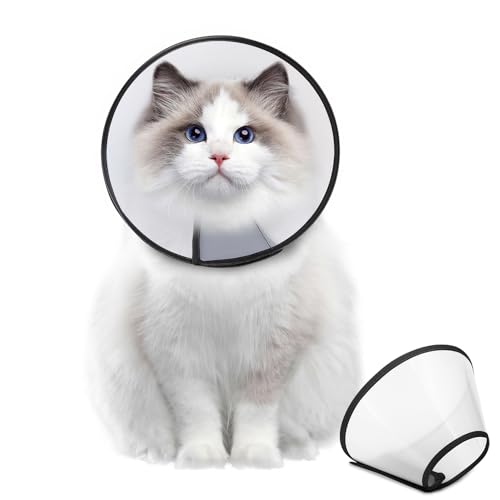 Image of Supet Dog Cone Collar Adjustable After Surgery, Comfortable Pet Recovery Collar & Cone for Large Medium Small Dogs, Elizabethan Dog Neck Collar Plastic Practical
