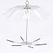 Birds Choice Clear Cylinder Seed Cake Feeder, Medium, Clear