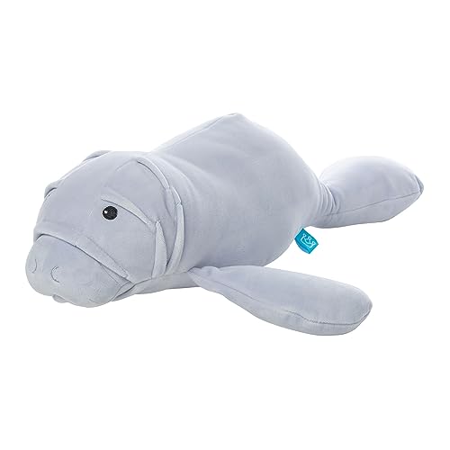 Are dolphins like dogs