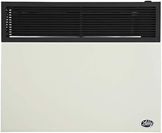 Ashley Hearth Products DVAG30L 25000 BTU Direct Vent Propane Heater, Cream