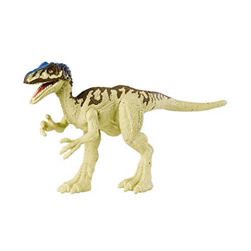 Buy Jurassic World Camp Cretaceous Attack Pack Coelurus Dinosaur