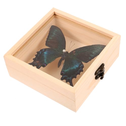 Cabilock 1 Set Home Decoration Handmade Specimen Butterfly Specimen Office Specimen Butterfly Display Case Butterfly Wall Art Framed Butterfly Wall Hanging Specimen Insect Pendant Plastic
