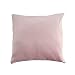 RAIKOU Set di 2 Federe per Cuscini semplicità Moderna Copricuscini Decorativi in Pile Corallo Fodera per Cuscino per Soggiorno Sedia Divano (40 x 40 cm, Rosa)