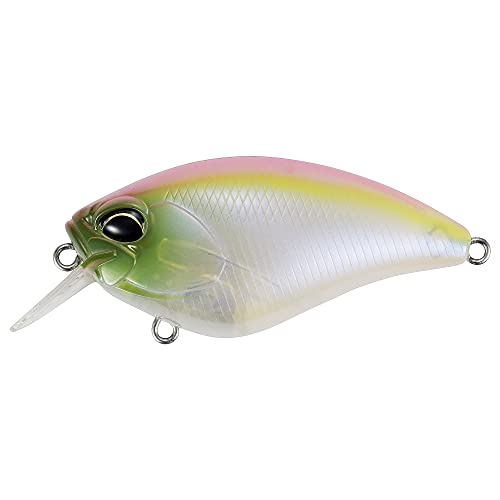 DUO(デュオ) レアリス エイペックス クランク66 スクエア AM Dawn CCC3350