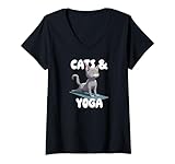 CATS & YOGA for Yoga lovers & Pilates enthusiasts