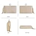 Clutch Purses for Women Tassel Evening Clutch bag Sparkly Diamond Crossbody Shoulder Bag For Wedding Night out Party(Champagne Gold)