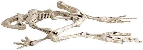 31gds58msiL._AC_ Frog Halloween Skeleton (Pack of 3) - 8" Long Weatherproof Yard Decorations, Great Graveyard Prop for Party Decoration and Indoor Outdoor