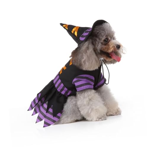 Disfraz Halloween para perro tamaño S miniatura 5