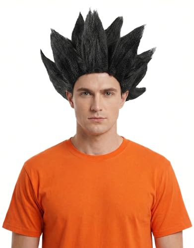 miccostumes Mens Anime Style Cosplay Wig Synthetic Hair Onesize(Black)