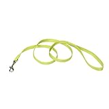 Coastal - Single-Ply Dog Leash, Lime, 5/8' x 6'