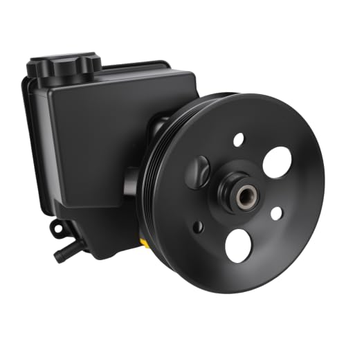 Image of 20-55982 Power Steering Pump with Reservoir for GM 3.8L V6